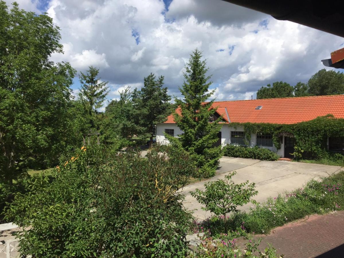 Landpension Dubnitz - Ferienwohnung 1 사스니츠 외부 사진